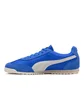 Puma Arizona Nylon (Blau)