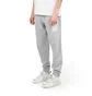 The North Face International Collection Sweatpant (Grau)