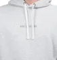 Aimé Leon Dore Logo Hoodie (Hellgrau)