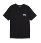 Stüssy Carnation Tee (Schwarz)