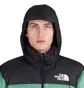 The North Face 1996 Retro Nuptse Jacket (Grün / Schwarz)