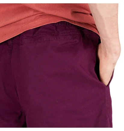 Stüssy Brushed Beach Short (Pflaume)