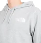 The North Face International Collection Classic Climb Hoodie (Hellgrau)