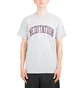 Powers Supply Meditation SS Tee (Grau)