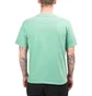 Stüssy Pig. Dyed Stones Tee (Grün)