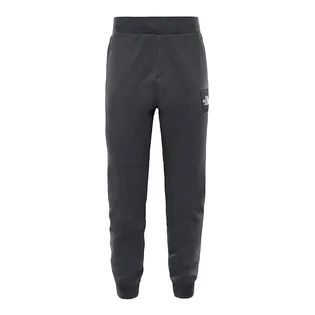 The North Face M Fine Pant (Asphalt-Grau)