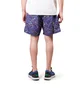 Nike ACG Shorts (Blau / Grün)