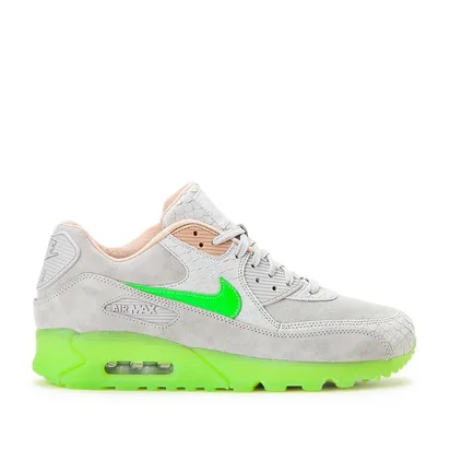 Nike Air Max 90 Premium 'New Species' (Grau / Grün)