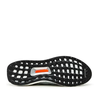 adidas x NASA Ultraboost DNA 5.0 (Grau / Silber / Weiß)