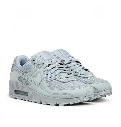 Nike Air Max 90 (Grau)
