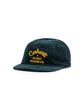 Carhartt WIP Dennis Cap (Grün)