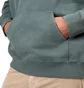 Carhartt WIP Hooded Ashfield Sweat (Grün)