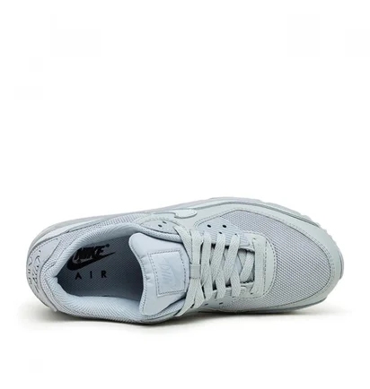 Nike Air Max 90 (Grau)