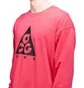 Nike ACG Logo Longsleeve (Pink)