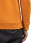 Norse Projects Vagn Classic Hoodie (Orange)