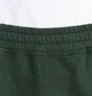 Stüssy Stock Logo Pant (Grün)