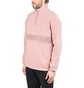 Pleasures Decline Quarter Zip Pullover (Rosa)