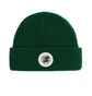 Aimé Leon Dore Waffle Knit Beanie (Grün)