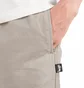 Stüssy Brushed Beach Pant (Grau)