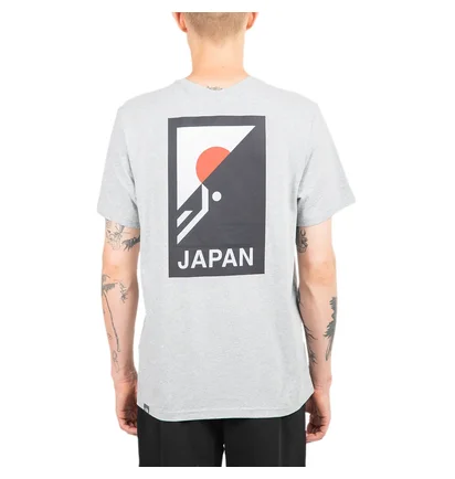 The North Face International Collection Climb GR T-Shirt (Hellgrau)