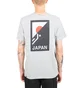 The North Face International Collection Climb GR T-Shirt (Hellgrau)