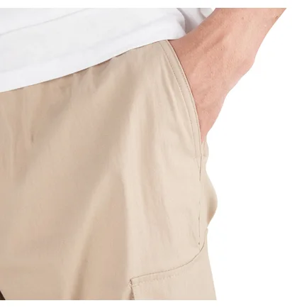 The North Face Karakash Cargo Pant (Flax)