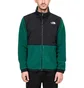 The North Face M Denali Jacket 2 (Grün / Schwarz)