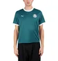 Puma x Palmeiras Ringer Tee (Grün)