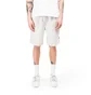 Stüssy Brushed Beach Shorts (Weiß)