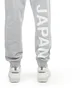 The North Face International Collection Sweatpant (Grau)