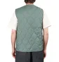 Carhartt WIP Skyton Vest (Grün)