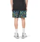 Nike ACG Shorts (Multi)