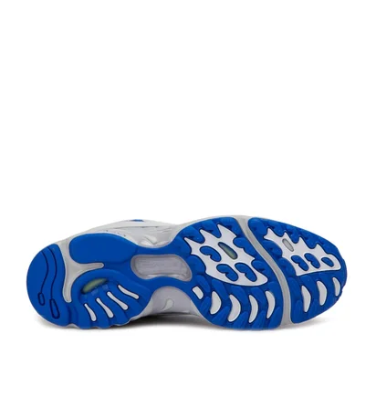 Reebok Daytona DMX (Grau / Blau)