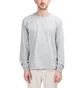 Stüssy Stock Longsleeve (Hellgrau)