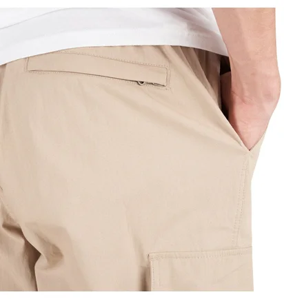 The North Face Karakash Cargo Pant (Flax)