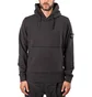 Stone Island Hooded Sweater (Grau)