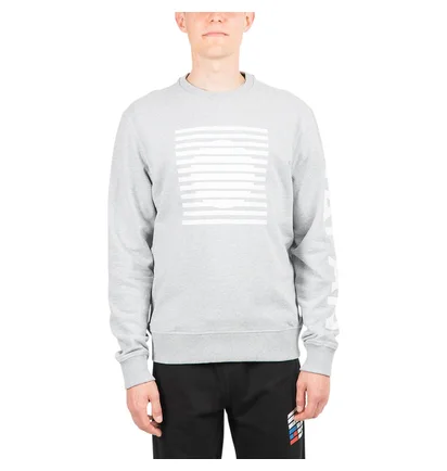 The North Face International Collection Crewneck (Hellgrau)