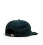 Carhartt WIP Dennis Cap (Grün)