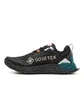 New Balance Fresh Foam Hierro V6 GTX (Schwarz / Blaugrün)