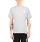 The North Face International Collection Climb GR T-Shirt (Hellgrau)
