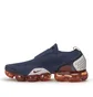 Nike Air VaporMax Plus (Blau / Schwarz)