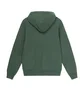 Stüssy Stock Logo Hood (Grün)