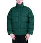 Carhartt WIP Doville Jacket (Grün)