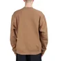 Carhartt WIP American Script Sweatshirt (Braun)