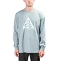 Nike ACG Logo Longsleeve (Grau)