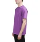 Aimé Leon Dore SS Logo Tee (Lila)