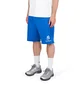 No Problemo NYP Sweatshorts (Blau)