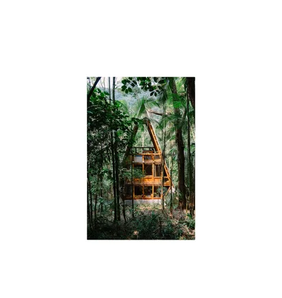 Gestalten: Cabin Fever