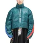 Reebok X Pyer Moss Ballfiber Jacket (Teal)
