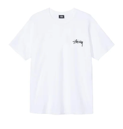 Stüssy Falls Tee (Weiß)